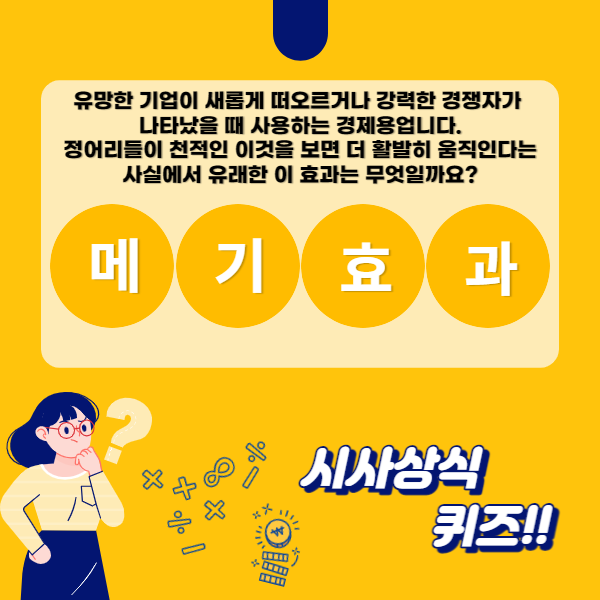 카드뉴스 이미지